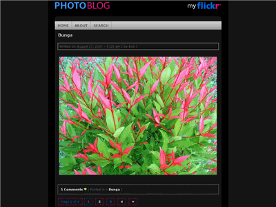 Photo Blog WordPress theme thumbnail