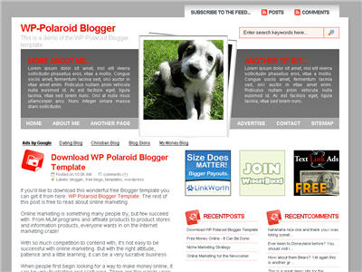 WP-Polaroid Blogger Blogger template thumbnail